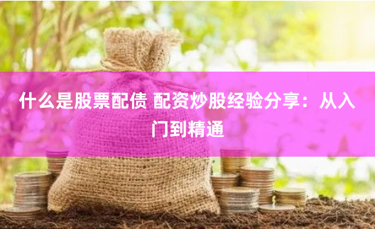 什么是股票配债 配资炒股经验分享：从入门到精通
