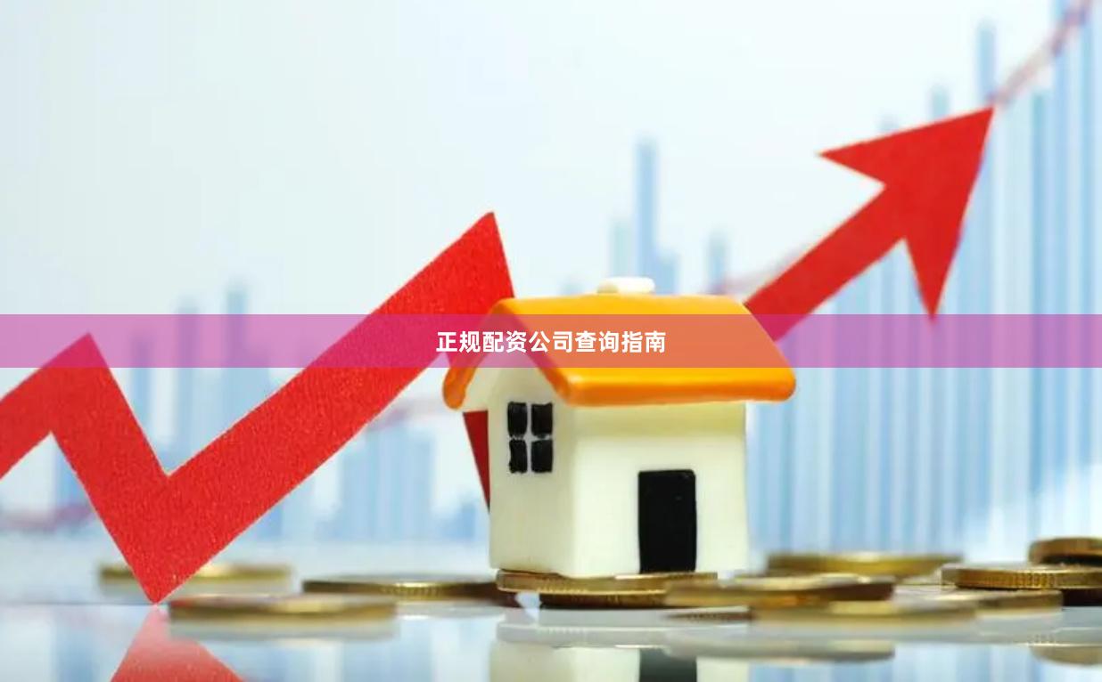 正规配资公司查询指南