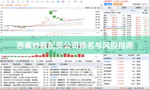 西藏炒股配资公司排名与风控指南